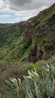 GC-Caldera de Bandama 2026-023.jpg